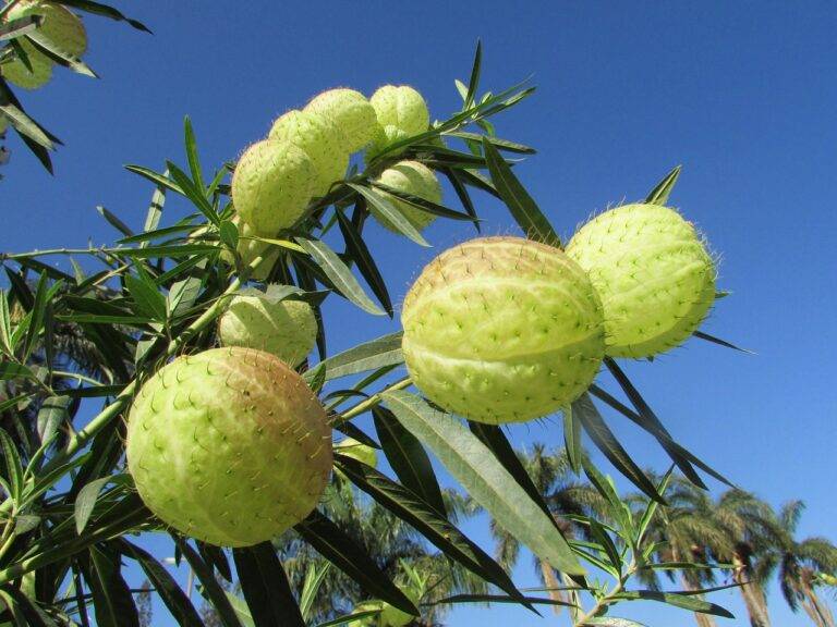 The Psychology of Voter Suppression: Tactics and Impact