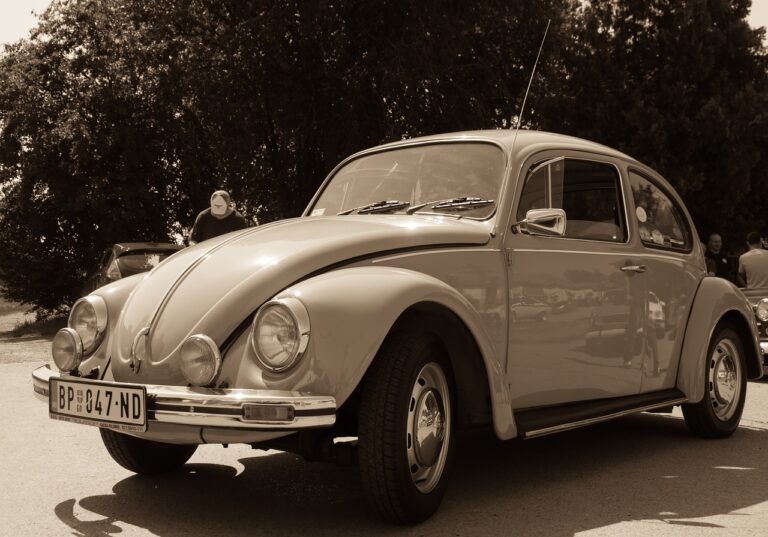 The Future of Autonomous Vehicle User Interface Customization Options