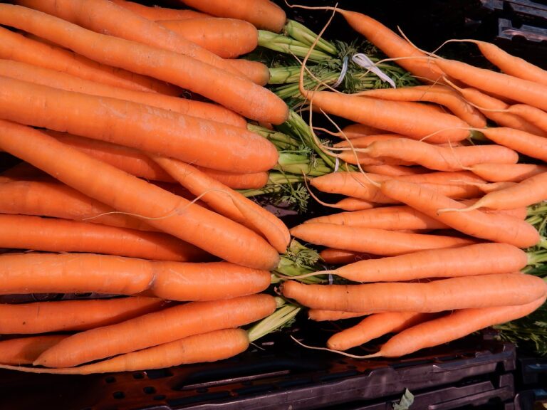 The Rise of Resale Marketplaces: Sustainable Shopping Solutions