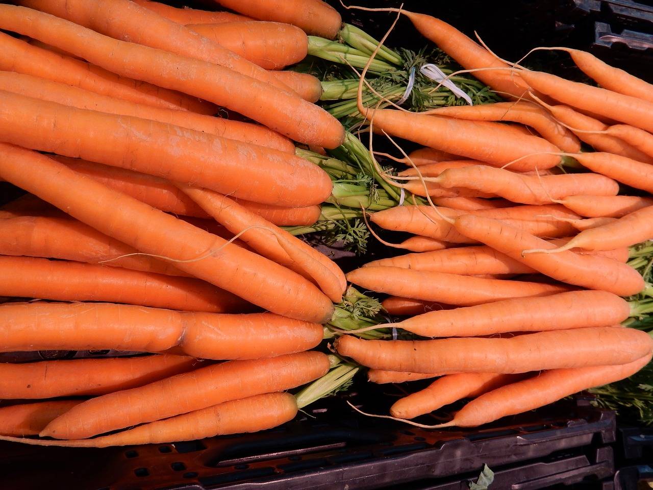 The Rise of Resale Marketplaces: Sustainable Shopping Solutions