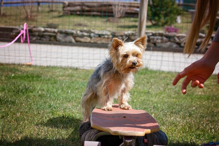 Addressing Trauma-Informed Teaching Practices