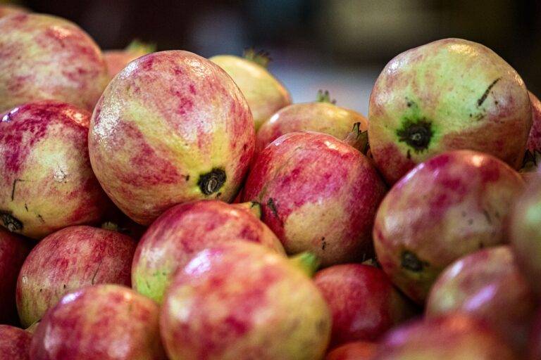 The Impact of Food Supply Chain Disruptions on Consumers