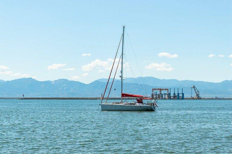 Exploring IPL’s Approach to Building a Global Fan Base