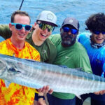 Playexch Online Review 2024: Features, Bonuses, Security & How to Get Started – Playexch 247 Guide